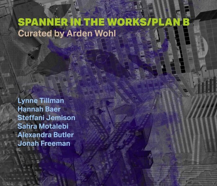 Spanner in the Works/Plan B | Arden Wohl | Poetry Series