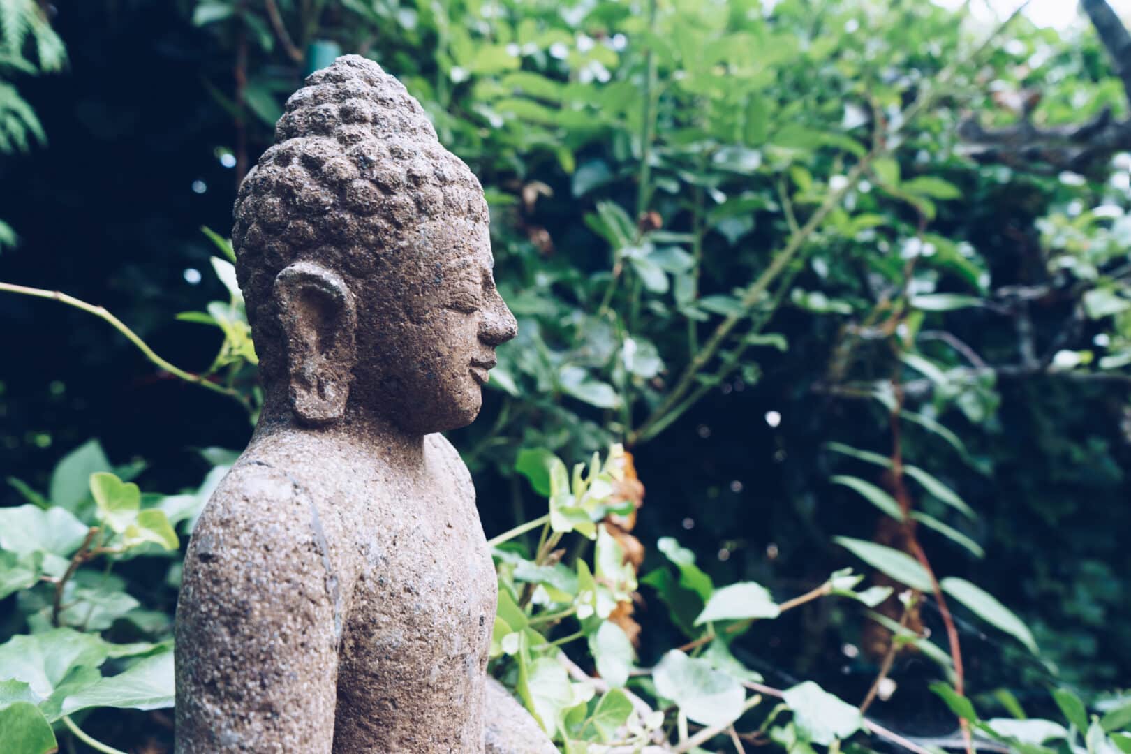 Buddha sculpture on green nature