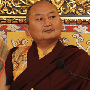 Tulku Pema Rigtsal Rinpoche